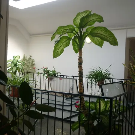Costeur Solviane Hotel Saint-Raphael (Var)